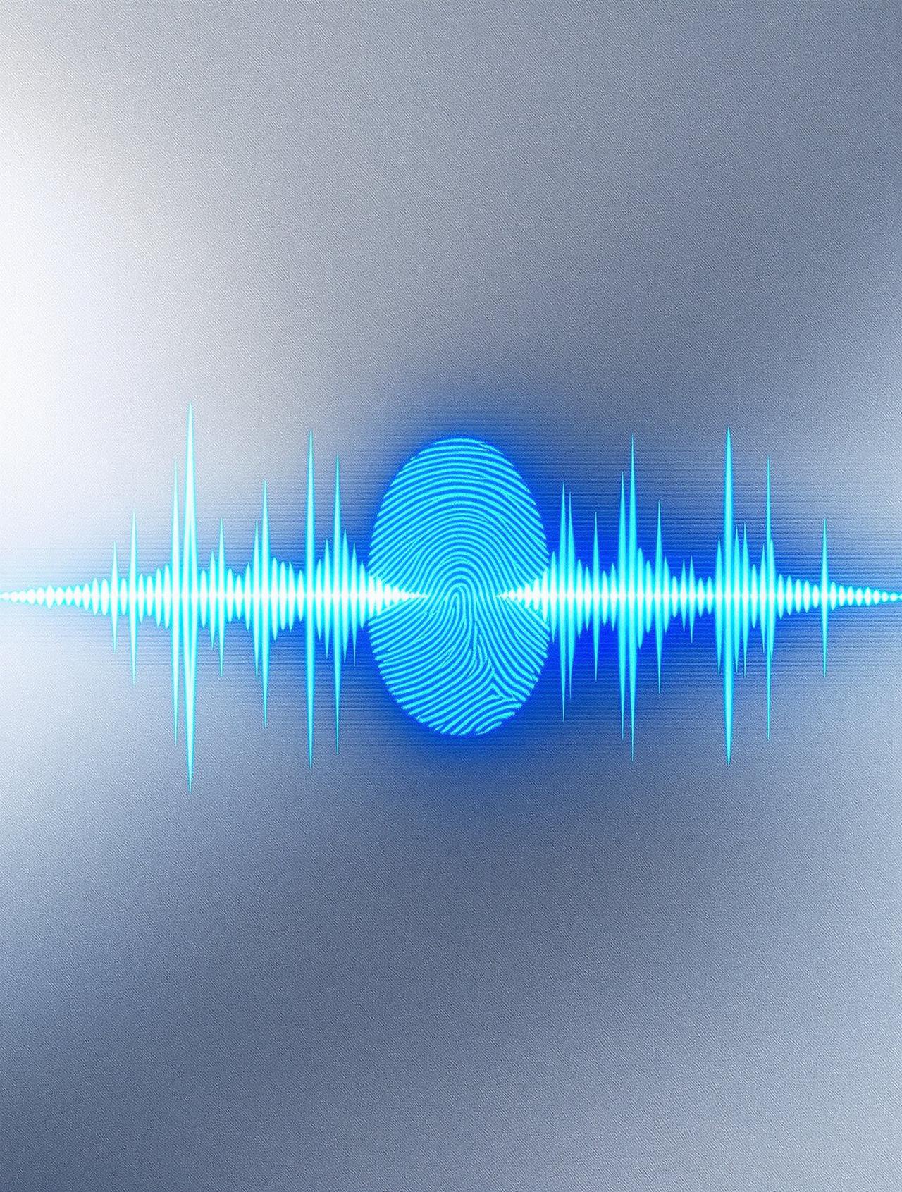 声纹档案